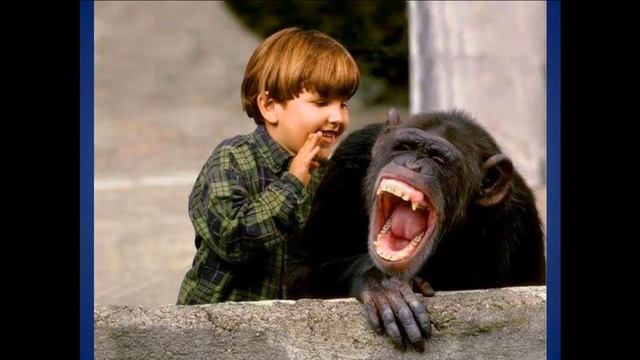 18+ сборники анекотов с матом до слез смотреть онлайн