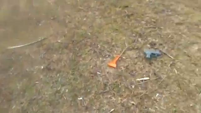 Вирус людиново калужская область смотреть онлайн