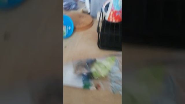 Кекс в стакане смотреть онлайн