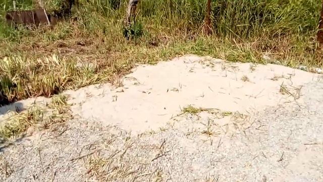 Парковка, на даче подготовка. смотреть онлайн