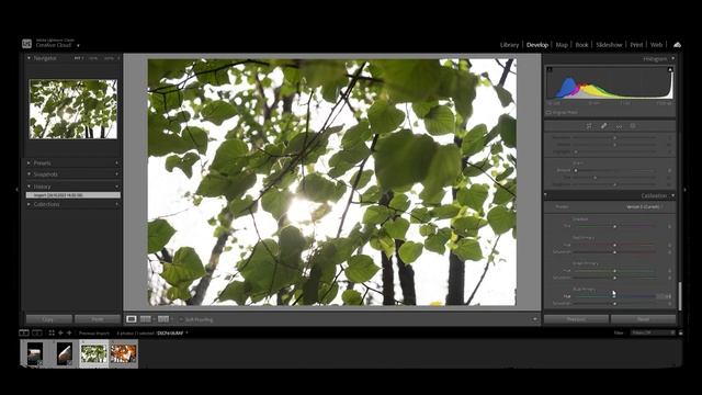 Яркие осенние фото в один клик, в Lightroom и Photoshop смотреть онлайн