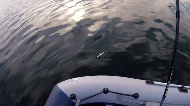 Открытие сезона жидкой воды )) Рыбалка на щуку. смотреть онлайн