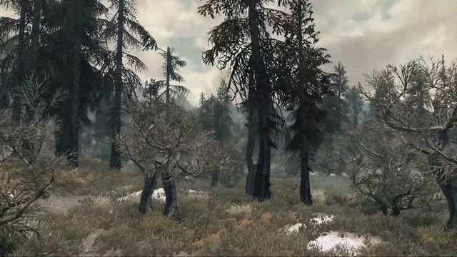 Skyrim - Графическая сборка модов (моды, с которыми я играю) | GKalian смотреть онлайн