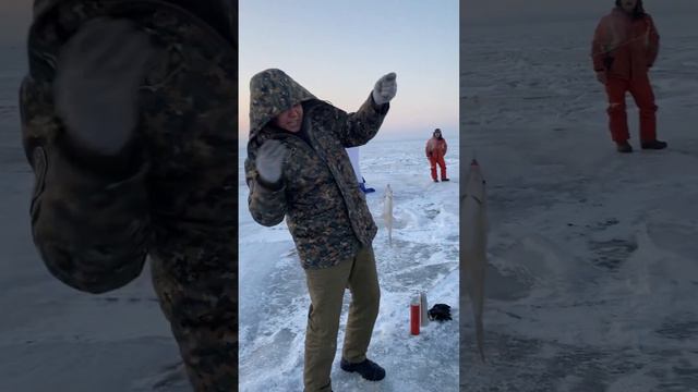 Капчагай 14.01.2023 год харошы клёв галубой залив смотреть онлайн
