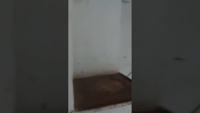10053637 смотреть онлайн