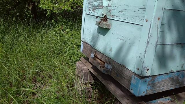 Рой #1_2021. смотреть онлайн