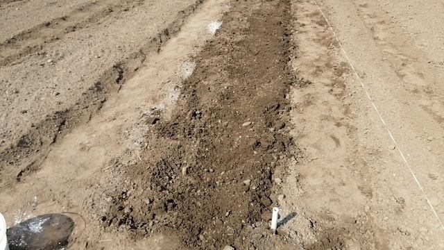 САЖАЕМ КАРТОФЕЛЬ ПО-НОВОМУ смотреть онлайн