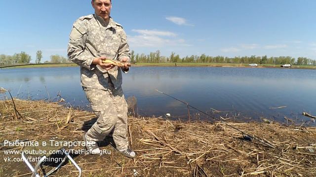 Ловим капризного карася на удочку. Отчёт от 26.05.17 смотреть онлайн