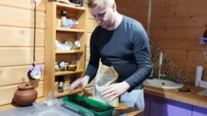 Можно ли вырастить Павловнию в средней полосе России.