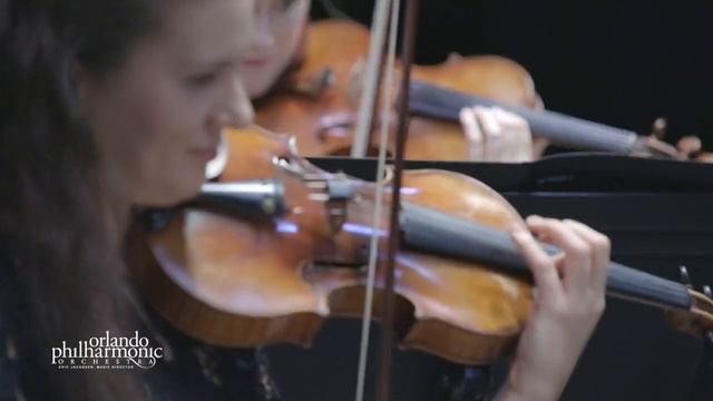 Insights into: Focus Series - Mozart's Symphony No. 33 смотреть онлайн