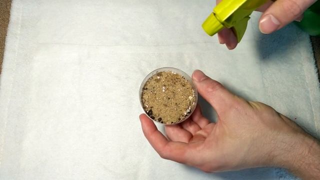 Хоста из семян Просто смотреть онлайн