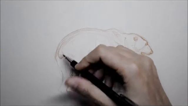 sketch n°15 - partie 2 смотреть онлайн