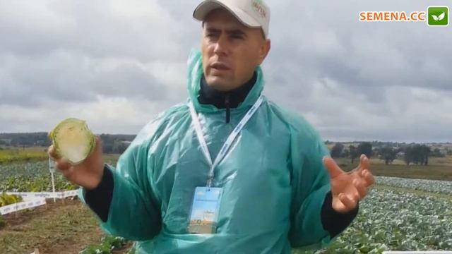 Джетодор F1 капуста (Syngenta) день поля 2012 года смотреть онлайн