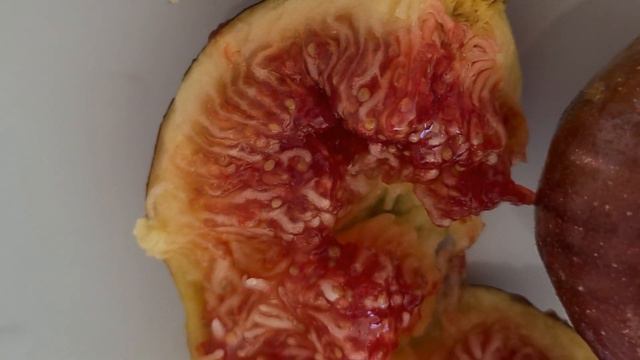 פרי התאנה The fig fruit смотреть онлайн