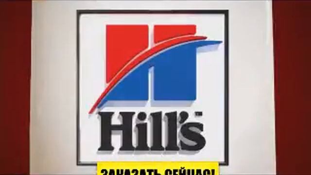 Полезный и питательные корм для кошек Hills смотреть онлайн