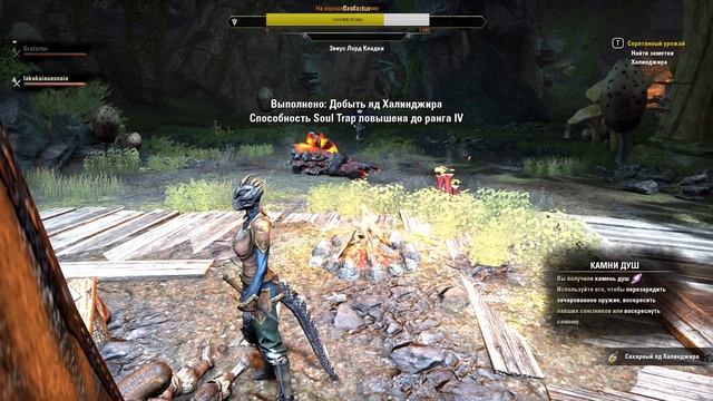 The Elder Scrolls Online Не так плохо как говорят смотреть онлайн