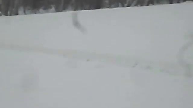 SDC15532 смотреть онлайн