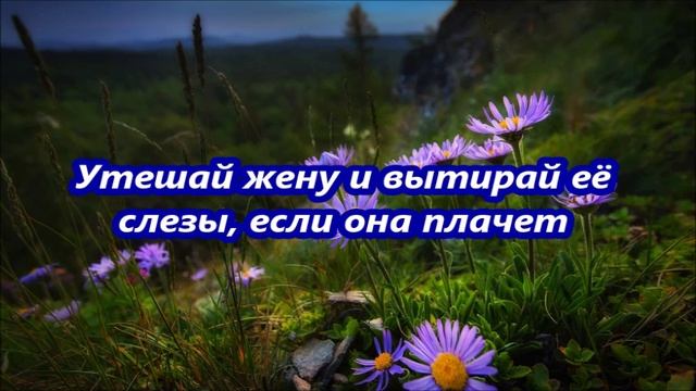 Утешай жену и вытирай её слезы, если она плачет . смотреть онлайн