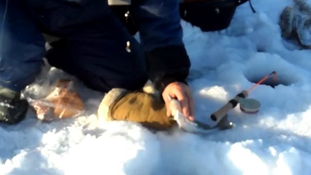 Ловля берша в Лаишево смотреть онлайн