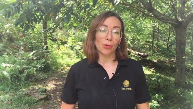 САМЫЕ ЖИВОПИСНЫЕ МЕСТА АДЖАРИИ. ГРУЗИЯ. BATUMI смотреть онлайн