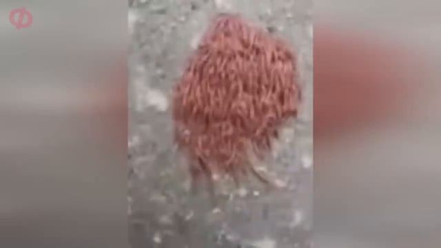 6 СТРАШНЫХ ВИДЕО ОТ КОТОРЫХ ТЫ ОФИГЕЕШЬ ПОПРОБУЙ НЕ ИСПУГАТЬСЯ ЕСЛИ СМОЖЕШЬ смотреть онлайн