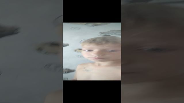 VID_20240801_143019.mp4