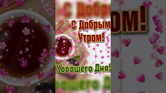 Осеннего утра доброго и хорошего дня ноября!! смотреть онлайн