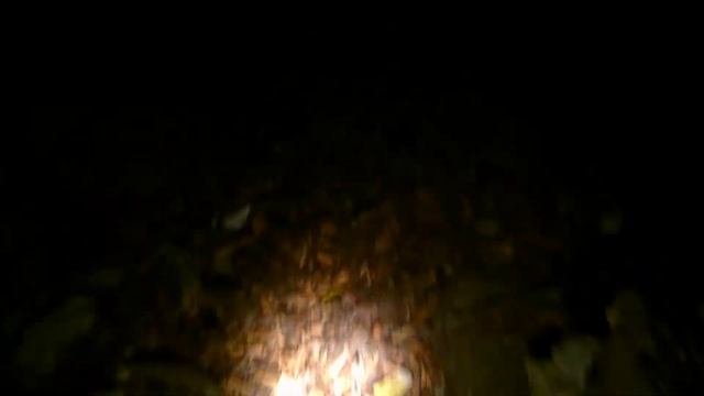 Potamon tauricum. Крымский пресноводный краб, кормление в ручье крабика. смотреть онлайн