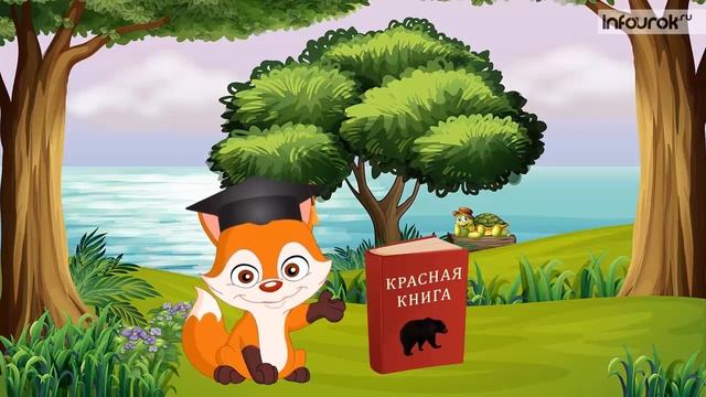 Животные и растения Красной книги | Дошкольники | Окружающий мир #12 | Инфоурок смотреть онлайн