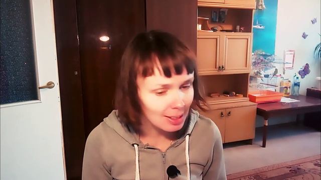 Алёна Швец. Вечная мерзлота. Кавер by Kliuvik смотреть онлайн