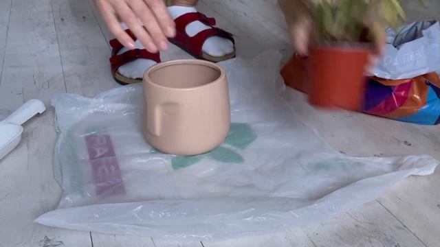 Подарок от подписчицы Море Растения из Фикс прайс в интерьере Обзор одежды Фамилия Зеленоградск смотреть онлайн