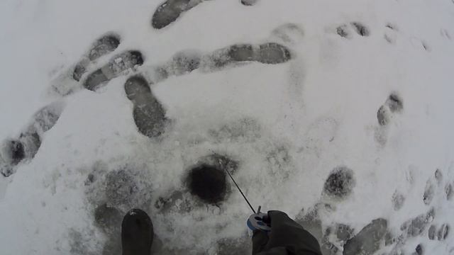 РЫБАЧУ НА МОСКВЕ РЕКЕ,ДОЛБЛЮ ОКУНЯ НА БЕЗМОТЫЛКУ/с НАСТУПАЮЩИМ Н.Г.31/12/2020 смотреть онлайн