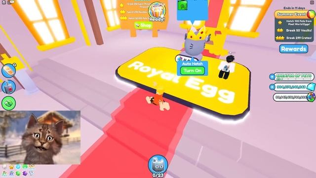 I Opened 200 HUGE PIRATE EGGS in Roblox Pet Simulator X смотреть онлайн