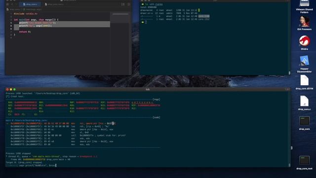 Analysing Core Dumps (Part 2) смотреть онлайн