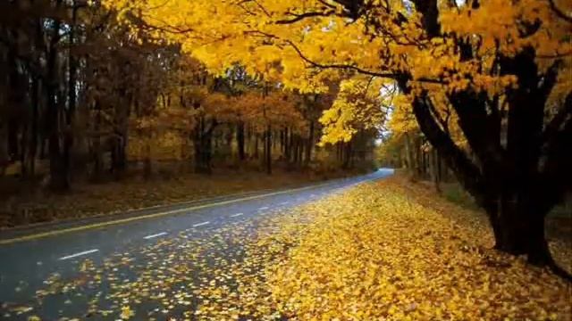 Влюбленным в осень смотреть онлайн