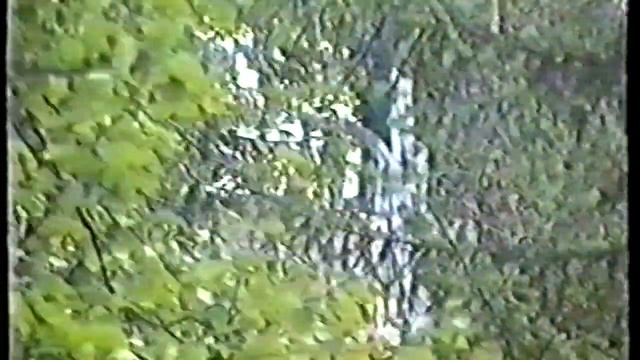 Музыкальное эссе о путешествии на Соловки в 2000 г Комиссия научного туризма РГО СПБ смотреть онлайн