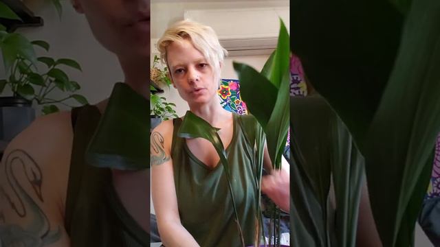 Easy Care Plants part 1 смотреть онлайн