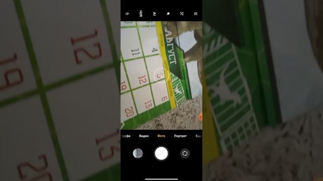 а в каком месяце родились вы????? смотреть онлайн