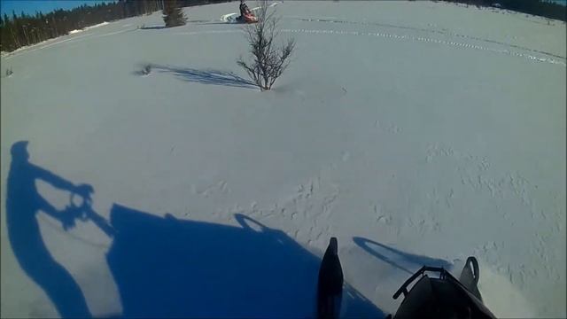 Arctic Cat M800 Bdx Pro Lite 950