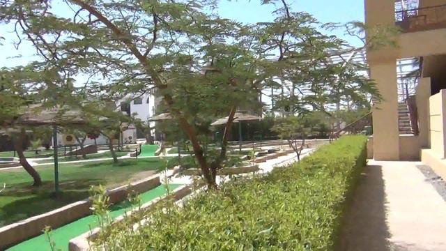 Shams Safaga смотреть онлайн