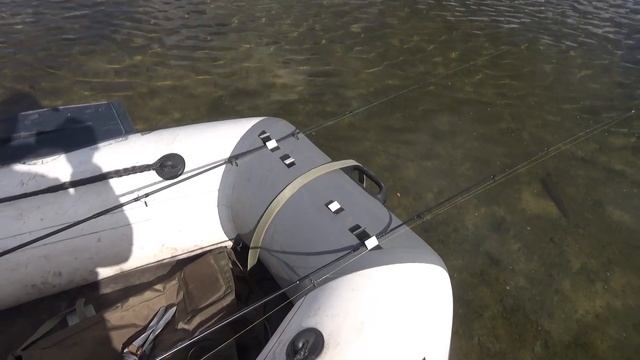 Рыбалка с директором Aquatic