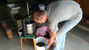 Отжим мезги на прессе, сок самотёк и прессование ягод