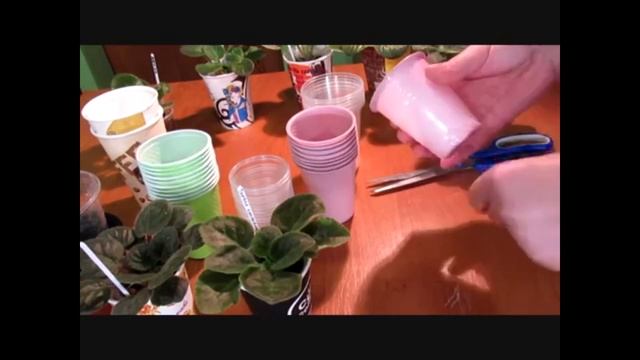 СТАКАНЧИКИ ДЛЯ ФИАЛОК. РАЗМЕР И МОДЕЛИРОВАНИЕ. смотреть онлайн