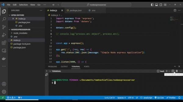 How to set up Environment Variables in Node.js using dotenv