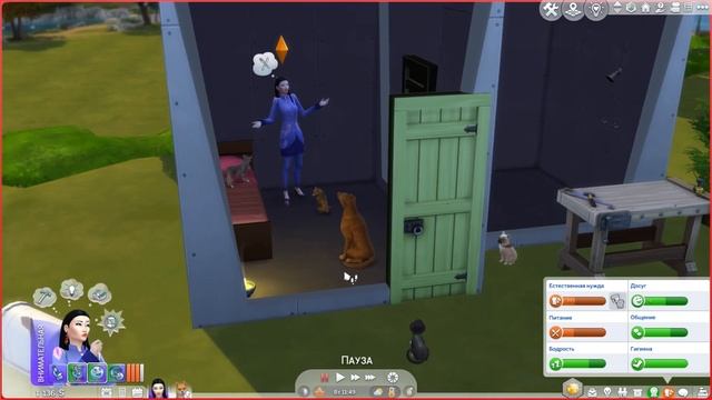 ПОСТРОЙ СВОЙ ГОРОД С НУЛЯ. НАШЕСТВИЕ ЖИВОТНЫХ | THE SIMS 4 смотреть онлайн