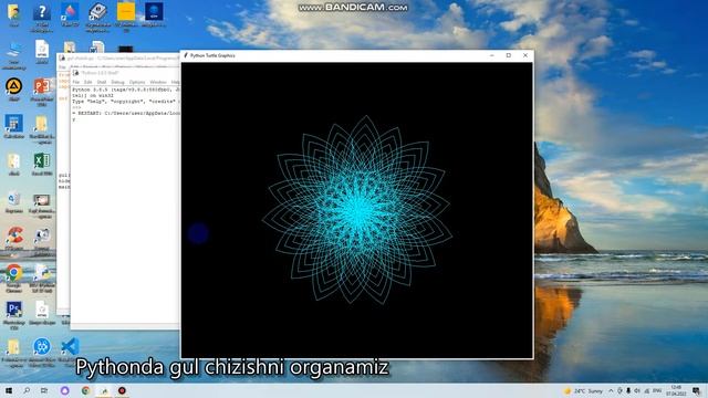Pythonda gul chizish смотреть онлайн