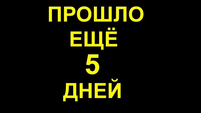 Дренажная канава, лопата FISKARS Ergonomic