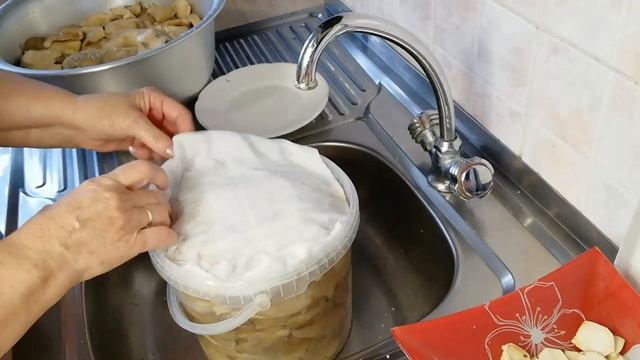 Учебник по Таланту