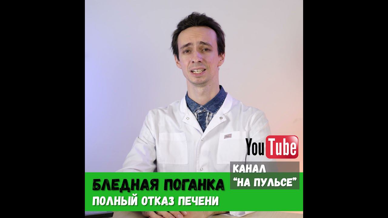 Бледная поганка: смертельно опасный гриб. #shorts смотреть онлайн