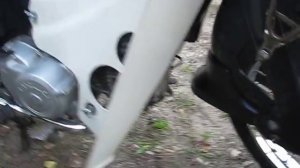 Мопед Сузуки Бирдие 50 краткий обзор.Moped Suzuki Birdie 50 review.